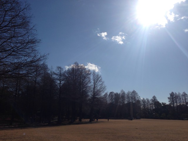 晴れの公園
