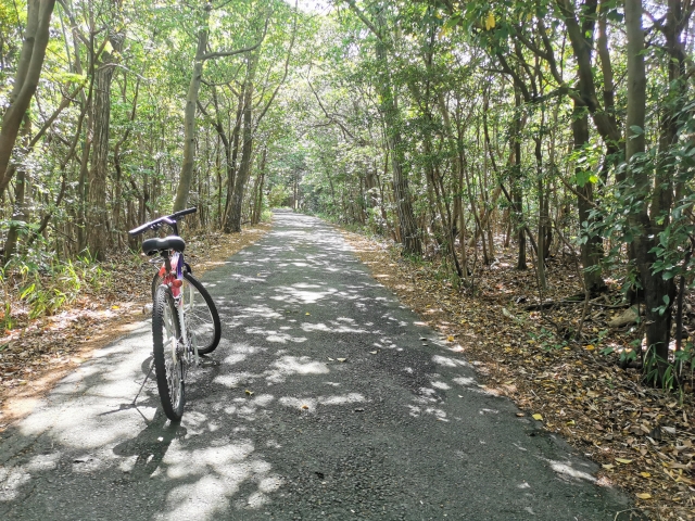 サイクリング