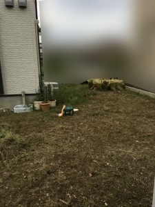 2日目別角度