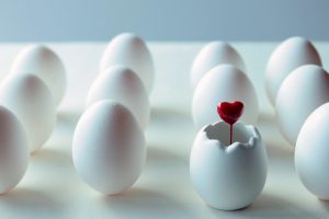 ハートの卵