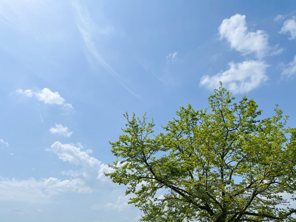 承認欲求が消えた話